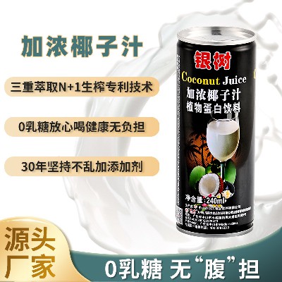 240ml银树加浓椰子汁海南风味0乳糖网红饮料植物蛋白椰汁饮料加盟